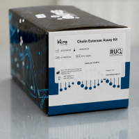 Cholin Esterase Assay Kit