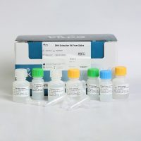 DNA-Soliva.jpg