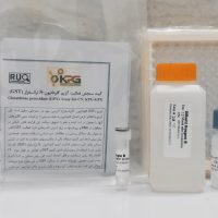 GST