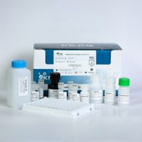 H-IFN-gama.jpg
