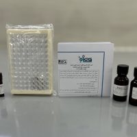 Acetylcholinesterase Assay Kit