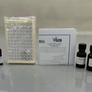 Acetylcholinesterase Assay Kit