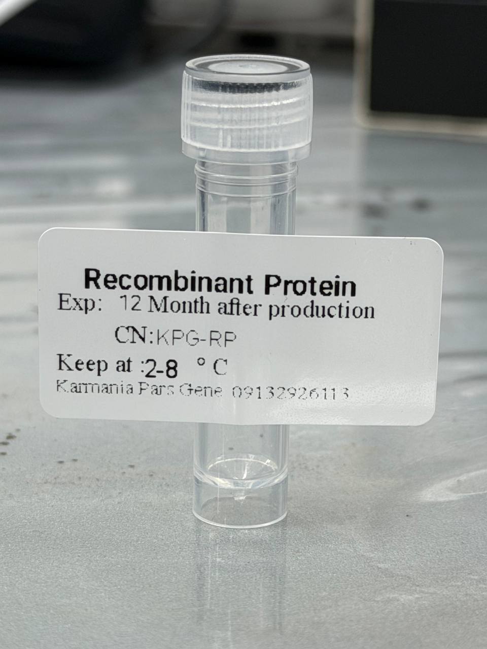 recombinant protein